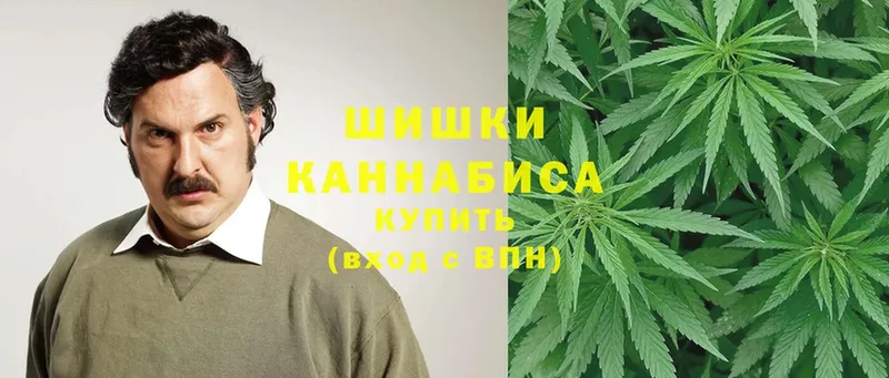 что такое наркотик  блэк спрут   Каннабис White Widow  Дальнегорск 